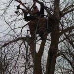 Tree Stands