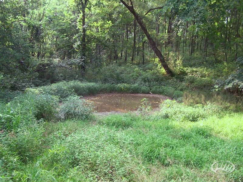 NE Iowa Outfitters Deer Pond