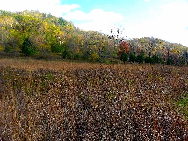 Dorchester Property NE Iowa Outfitters