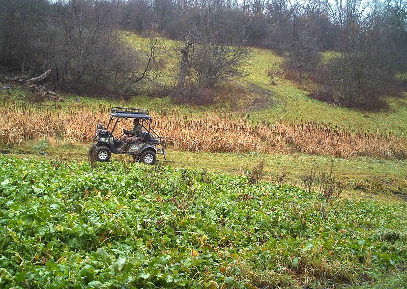 NE Iowa Outfitters BadBoy Buggy