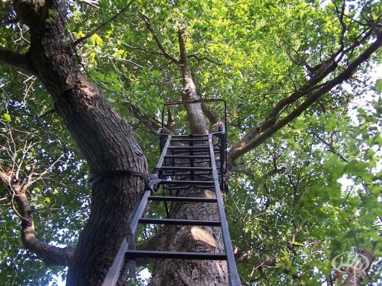 NE Iowa Outfitters Ladder Stand
