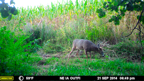 MOULTRIE DIGITAL GAME CAMERA