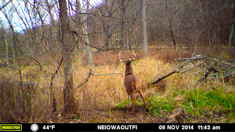 MOULTRIE DIGITAL GAME CAMERA