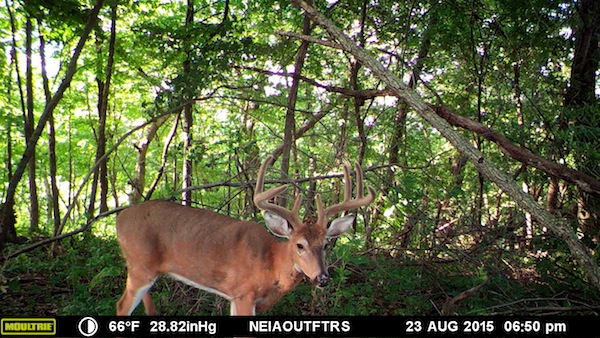 MOULTRIE DIGITAL GAME CAMERA